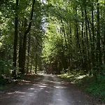 Affittacamere Gasthof-pension Brauner Hirsch In - Mittelfranken 3*
