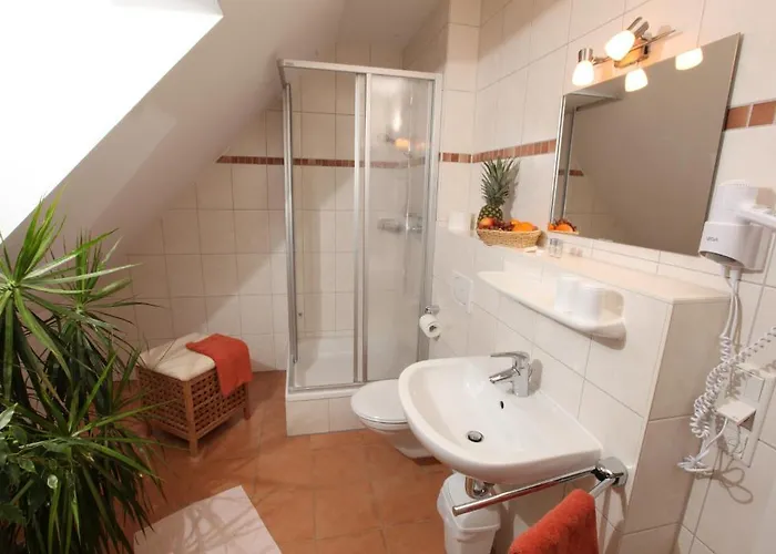 בית הארחה Gasthof-pension Brauner Hirsch In - Mittelfranken 3*